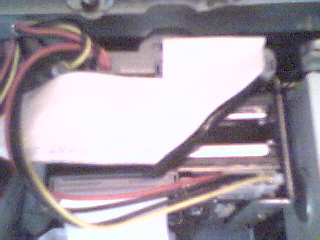 Un detalle ms cercado de los dos HD USCSI de madre